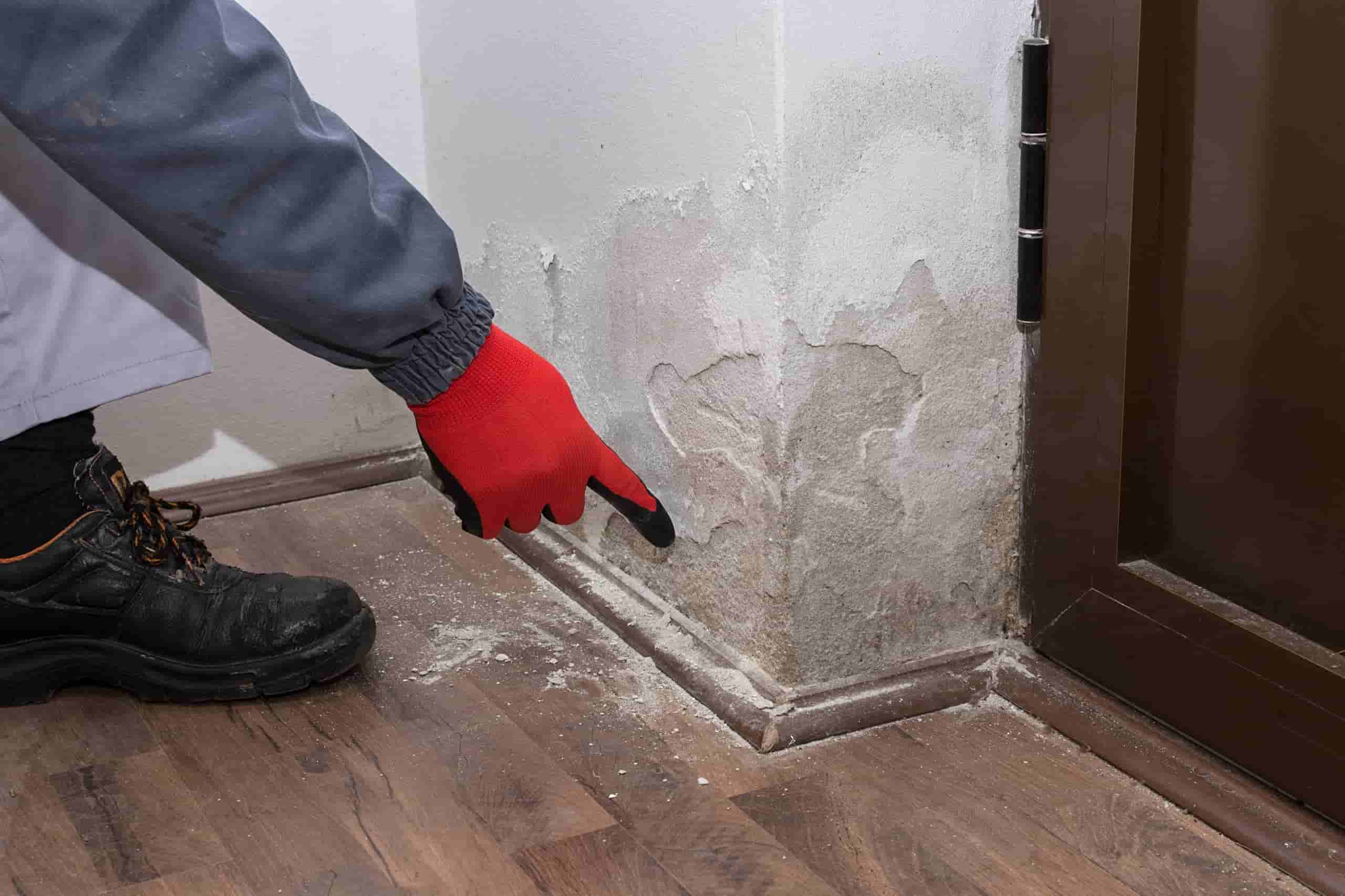 remontées capillaires