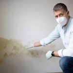 remontées capillaires