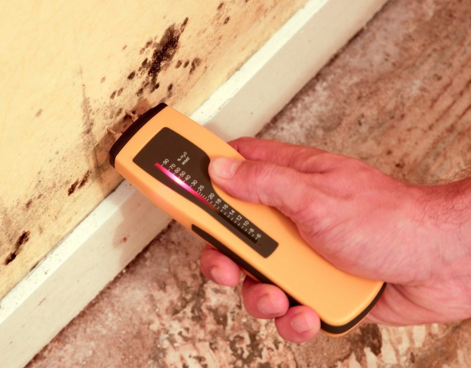 testeur humidité mur