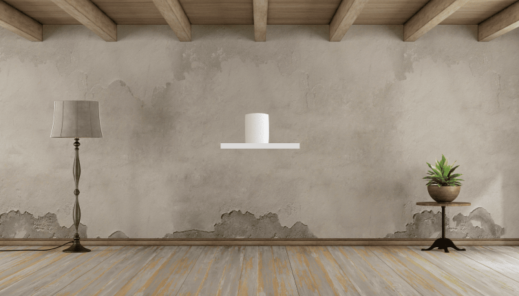 Appareil anti-humidité ATG LC15 – Inverseur de polarité humidité géomagnétique